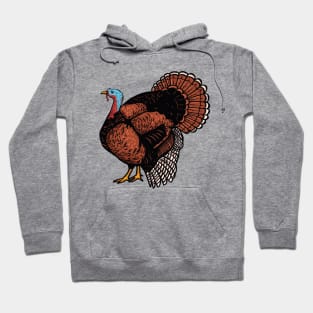 Turkey Illustration Hoodie